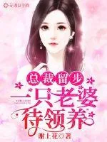 《总裁留步:一只老婆待领养》小说封面