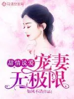 《甜情说爱:宠妻无极限》小说封面