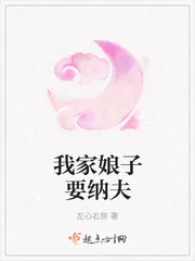 《我家娘子要纳夫》小说封面