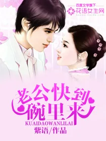 《老公快到碗里来》小说封面