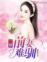 《二婚前妻难驯》小说封面