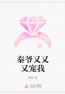 《秦爷又又又宠我》小说封面
