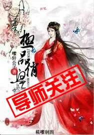 《极品俏皇妃》小说封面