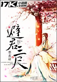 《避君三尺》小说封面