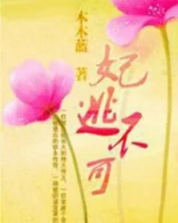 《妃逃不可》小说封面