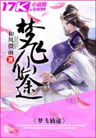 《梦飞仙途》小说封面