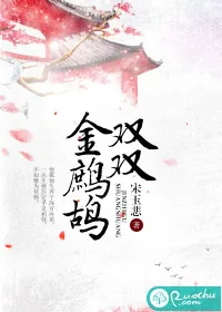 《双双金鹧鸪》小说封面