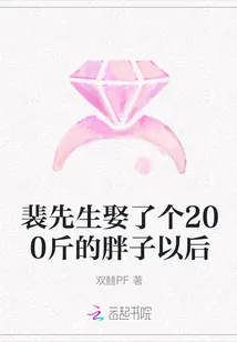 《裴先生娶了个200斤的胖子以后》小说封面
