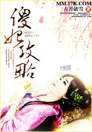 《傻妃攻略》小说封面