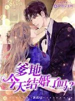 《爹地,今天结婚了吗?》小说封面