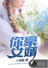 《你豪女婿》小说封面