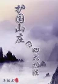 《护国山庄之四大护法》小说封面