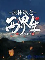 《灵林冰之两界生》小说封面