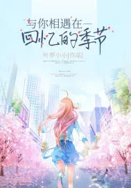《与你相遇在回忆的季节》小说封面