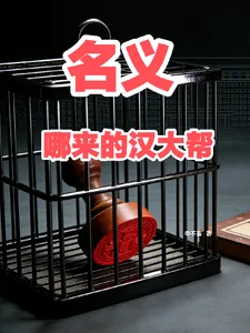《名义,哪来的汉大帮》小说封面