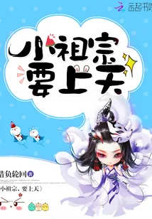 《小祖宗,要上天》小说封面