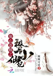 《偷心盗贼之极品小仙妃》小说封面