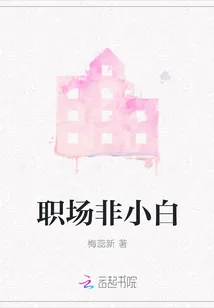 《职场非小白》小说封面