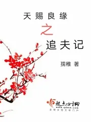 《天赐良缘之追夫记》小说封面