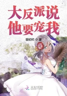 《大反派说他要宠我》小说封面
