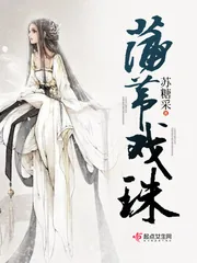 《蒲苇戏珠》小说封面