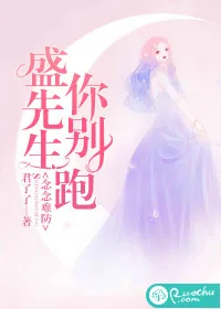 《念念难防:盛先生你别跑》小说封面