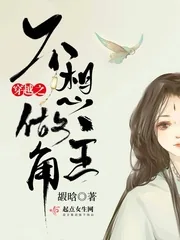 《穿越之不想做主角》小说封面