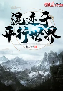 《混迹于平行世界》小说封面