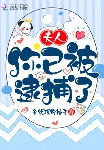 《夫人你已被逮捕了》小说封面