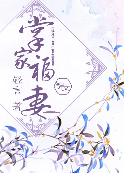 《掌家福妻》小说封面