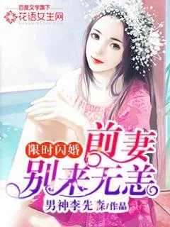 《限时闪婚:前妻别来无恙》小说封面