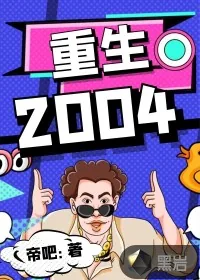 《重生2004》小说封面