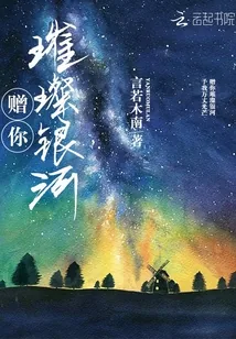 《赠你璀璨银河》小说封面