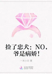 《捡了忠犬：NO，爷是病娇！》小说封面
