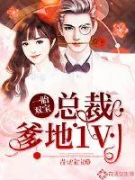 《一胎双宝:总裁爹地1V1》小说封面