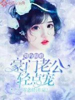 《契约假婚:豪门老公轻点宠》小说封面