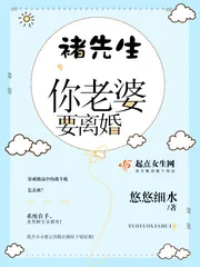 《褚先生,你老婆要离婚》小说封面