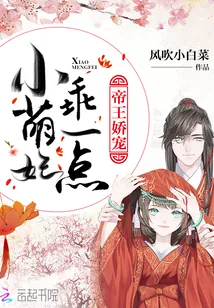 《帝王娇宠:小萌妃,乖一点》小说封面
