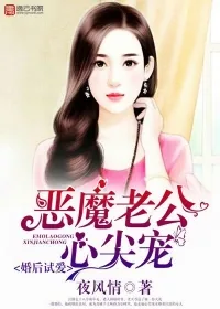《婚后试爱,恶魔老公心尖宠》小说封面