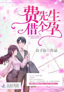 《费先生,借个孕》小说封面
