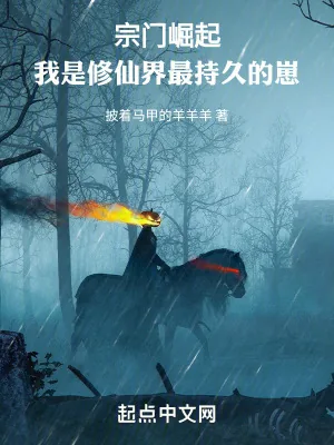 《宗门崛起:我是修仙界最持久的崽》小说封面