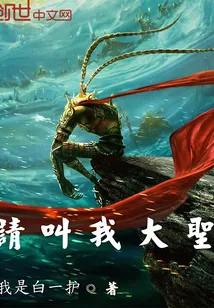 《请,叫我大圣》小说封面