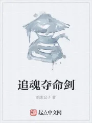 《追魂夺命剑》小说封面