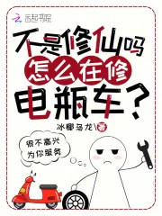 《不是修仙吗?怎么在修电瓶车?》小说封面