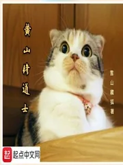 《黄山修道士》小说封面