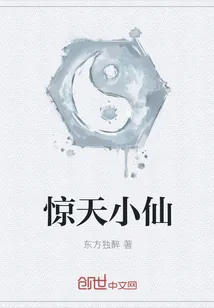 《惊天小仙》小说封面