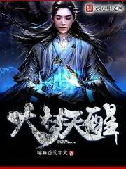 《大梦天醒》小说封面