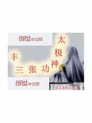 《太极神功张三丰》小说封面