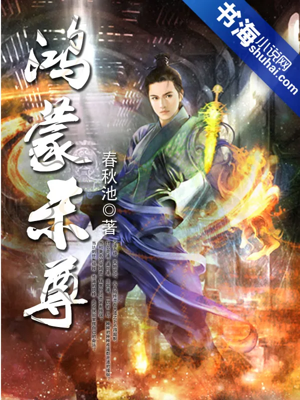 《鸿蒙杀尊》小说封面