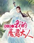 《晚上撩，我的魔君大人》小说封面